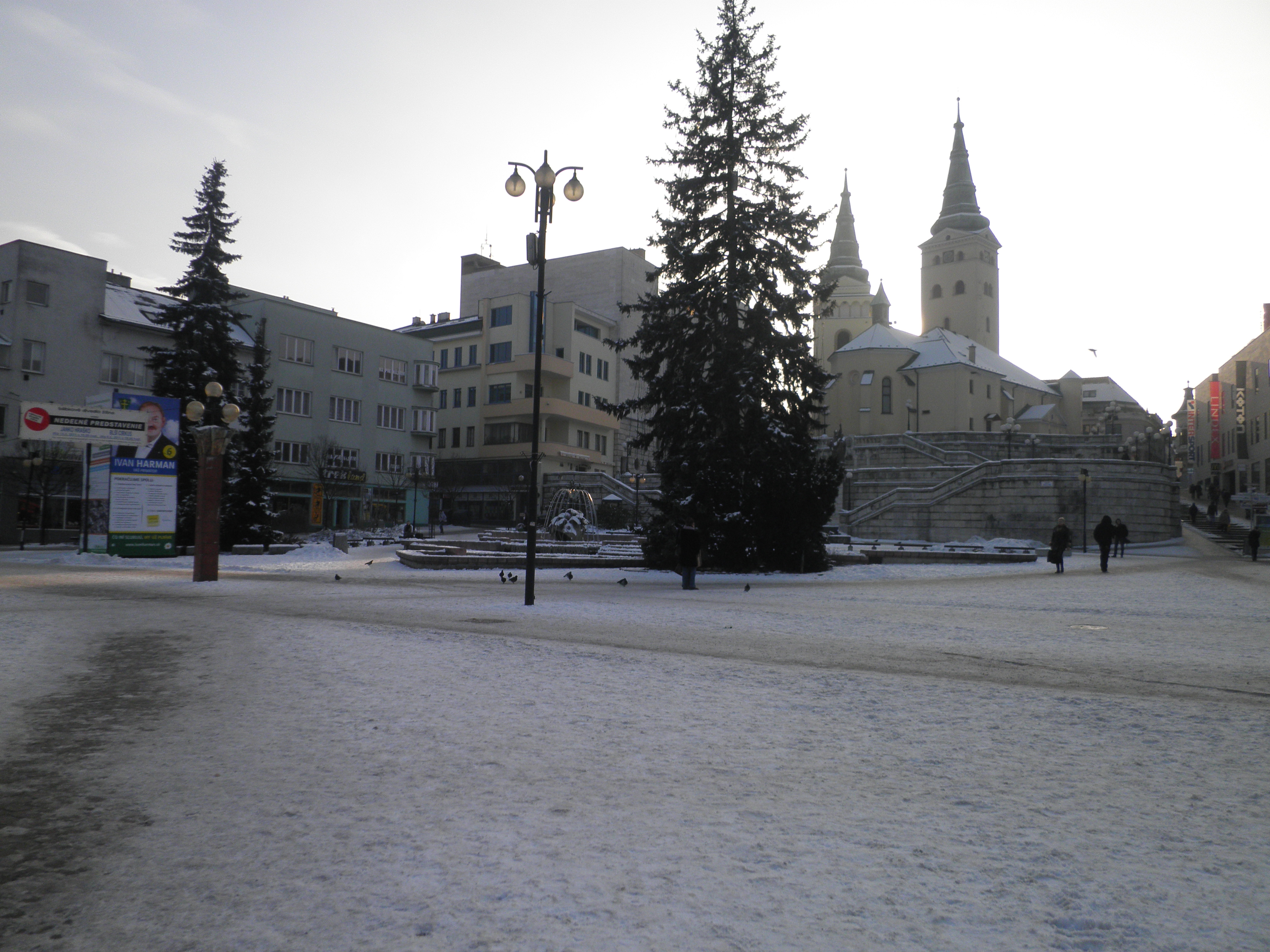 P2030024.JPG