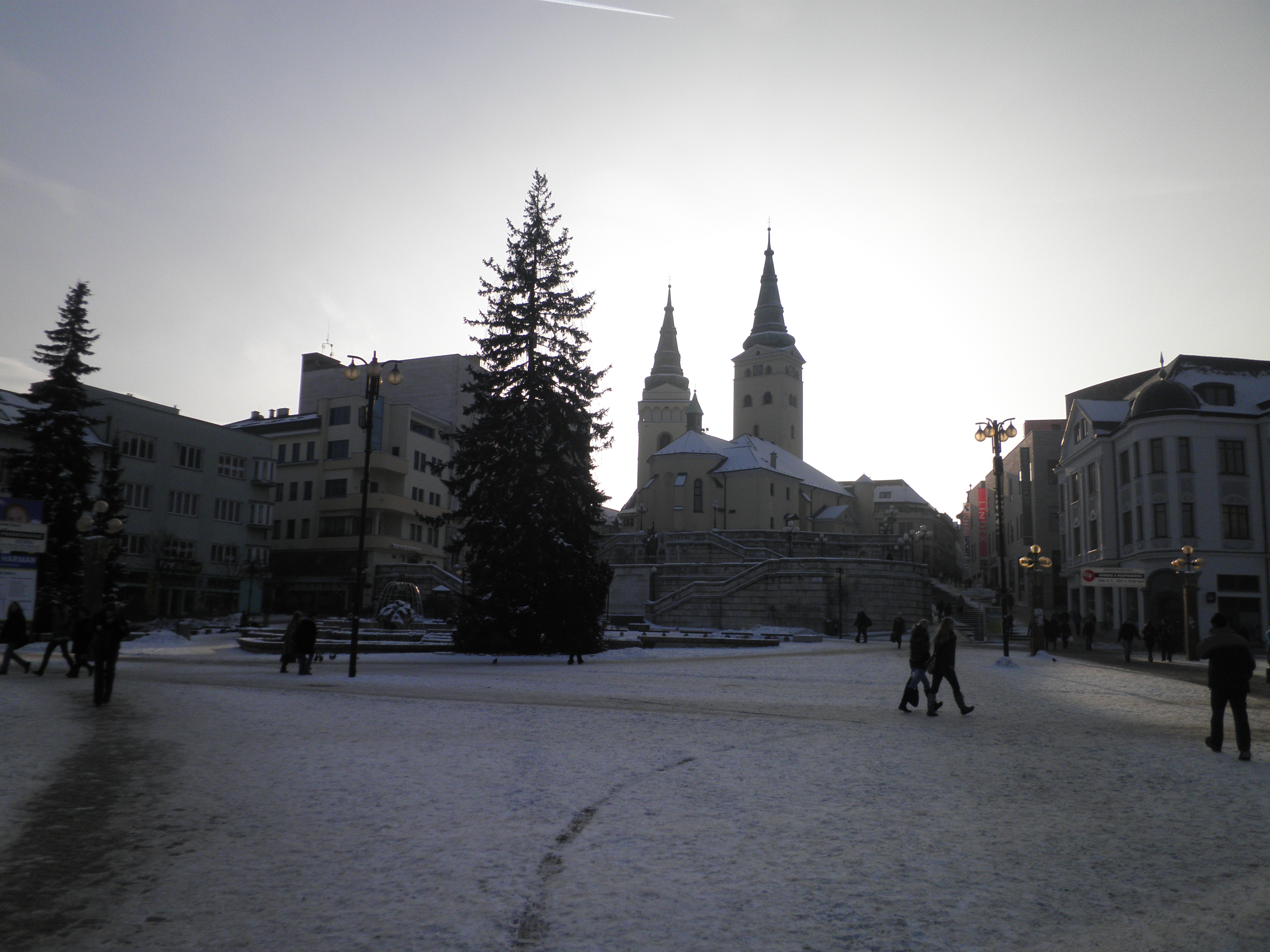 P2030023.JPG